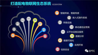 配電物聯(lián)網(wǎng)技術(shù)發(fā)展構(gòu)想 網(wǎng)絡(luò)技術(shù)開(kāi)發(fā)新藍(lán)圖